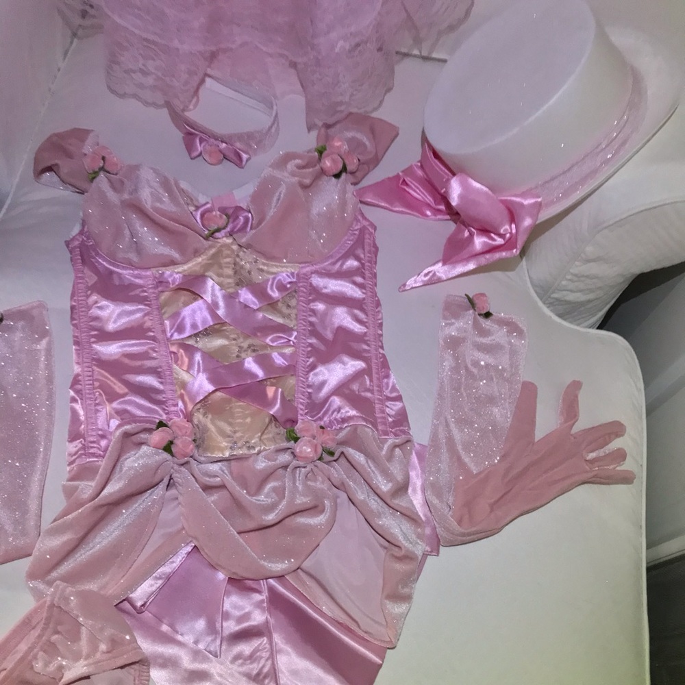 NWOT Trashy Lingerie Pink Burlesque Corset Costume